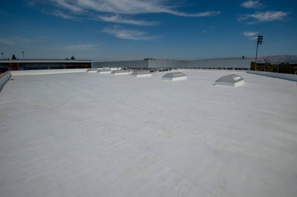 Best Roof Insulation Installation  in Montpelier, OH