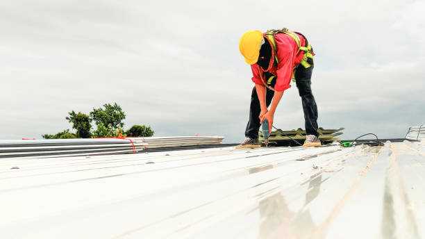 Best Roof Maintenance and Cleaning  in Montpelier, OH